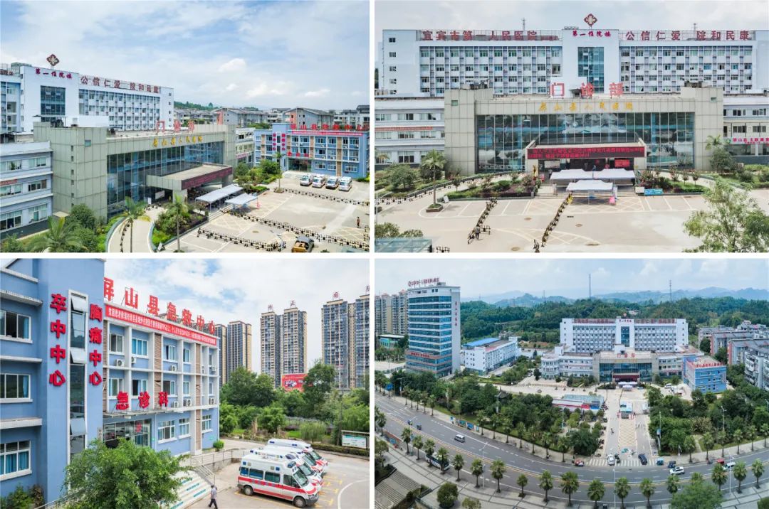 《屏山县人民医院全貌》 作者:曾文虎《请战》 作者:何琳《生命卫士》